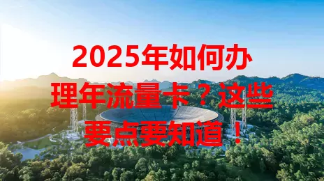 2025年如何办理年流量卡？这些要点要知道！