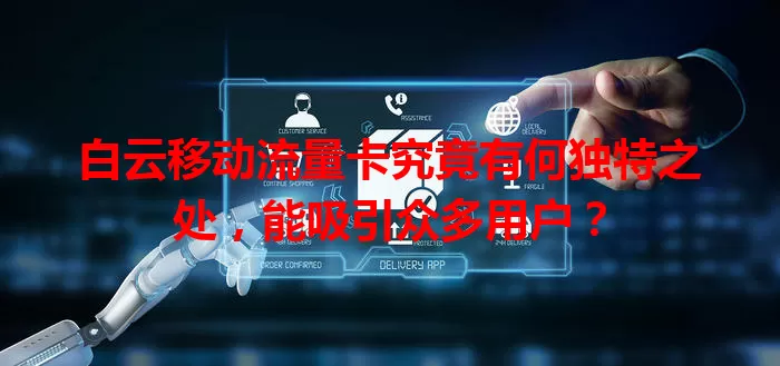 白云移动流量卡究竟有何独特之处，能吸引众多用户？