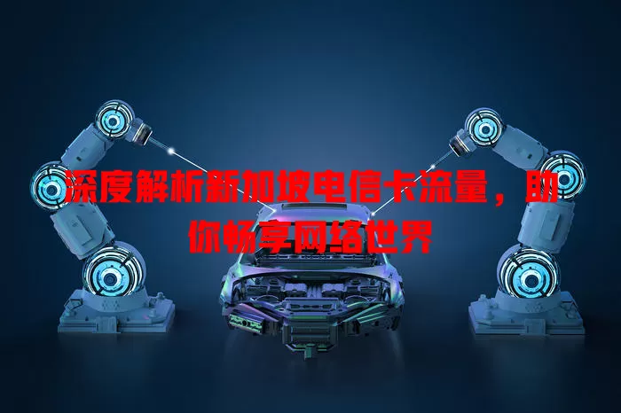 深度解析新加坡电信卡流量，助你畅享网络世界