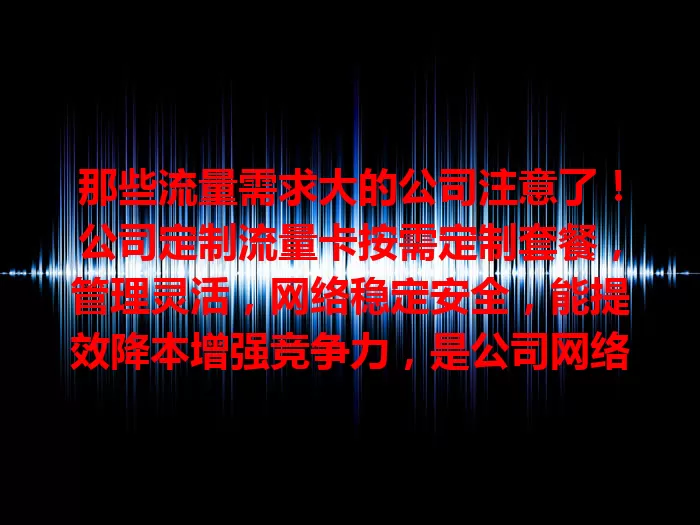 那些流量需求大的公司注意了！公司定制流量卡按需定制套餐，管理灵活，网络稳定安全，能提效降本增强竞争力，是公司网络通信得力助手！