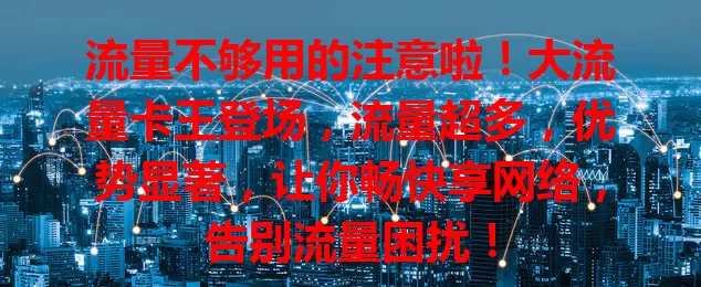流量不够用的注意啦！大流量卡王登场，流量超多，优势显著，让你畅快享网络，告别流量困扰！