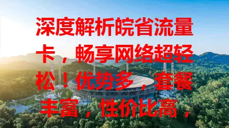 深度解析皖省流量卡，畅享网络超轻松！优势多，套餐丰富，性价比高，覆盖广，办理简。选卡留意要点，关注售后，掌握选择法，便捷实惠上网，生活工作更精彩