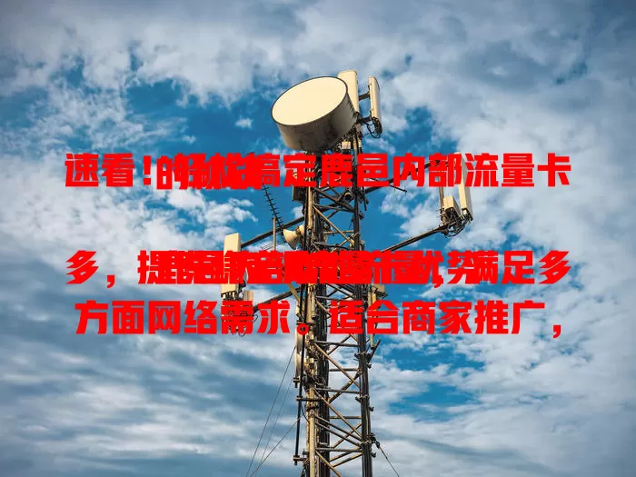 速看！轻松搞定鹿邑内部流量卡的秘诀

鹿邑内部流量卡优势多，提供稳定本地流量，满足多方面网络需求。适合商家推广，居民畅享本地服务。选卡关注额度、有效期等要点，就能提升数字生活体验。