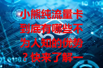 小熊纯流量卡到底有哪些不为人知的优势？快来了解一下！