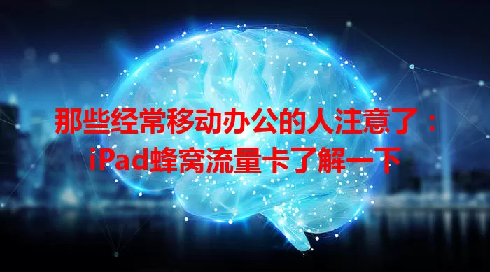 那些经常移动办公的人注意了：iPad蜂窝流量卡了解一下