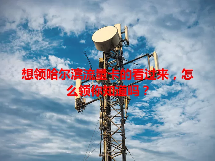 想领哈尔滨流量卡的看过来，怎么领你知道吗？