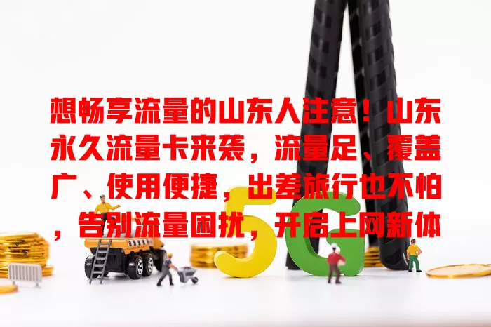 想畅享流量的山东人注意！山东永久流量卡来袭，流量足、覆盖广、使用便捷，出差旅行也不怕，告别流量困扰，开启上网新体验
