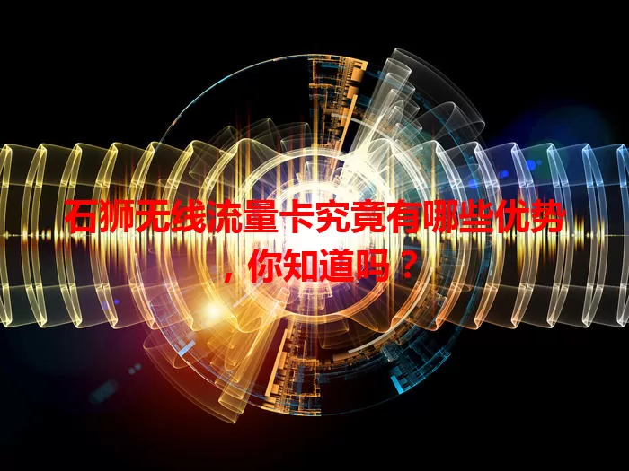 石狮无线流量卡究竟有哪些优势，你知道吗？