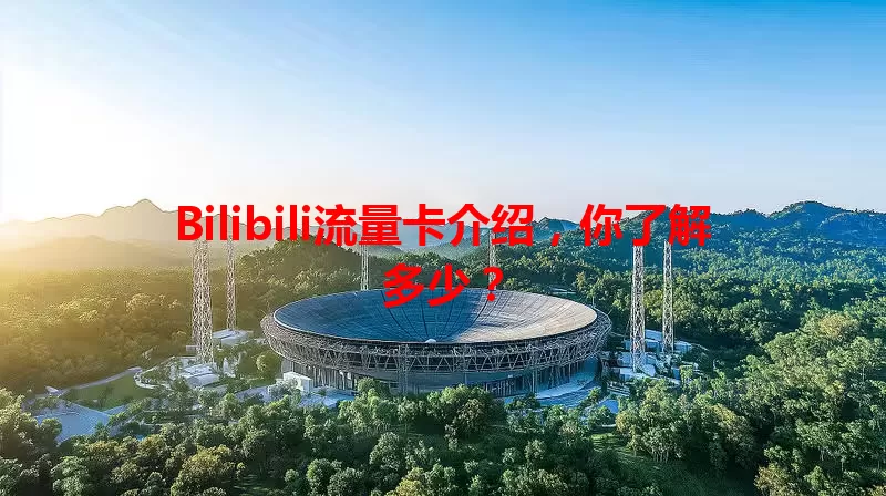 Bilibili流量卡介绍，你了解多少？
