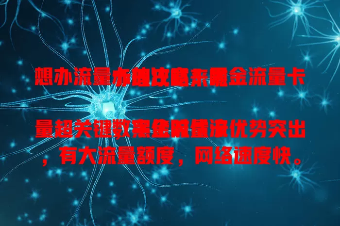 想办流量卡的注意！黑金流量卡办理攻略来啦

数字化时代流量超关键，黑金流量卡优势突出，有大流量额度，网络速度快。办卡要了解套餐详情，选正规渠道，按提示操作。提前了解，正规办理，畅享便捷上网体验