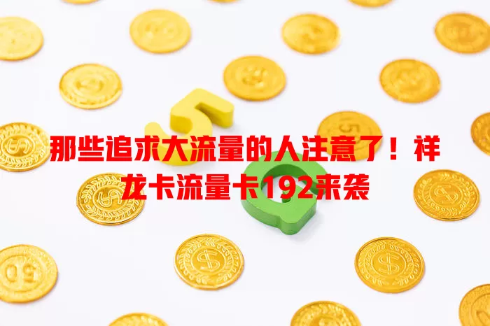 那些追求大流量的人注意了！祥龙卡流量卡192来袭