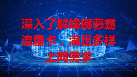 深入了解蟑螂恶霸流量卡，满足多样上网需求