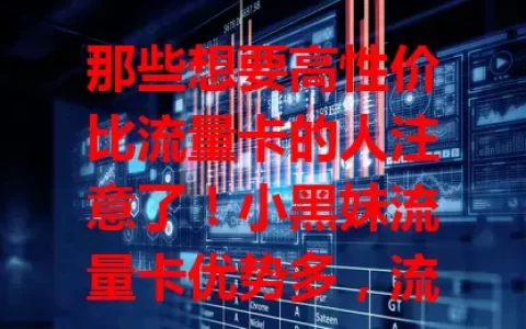 那些想要高性价比流量卡的人注意了！小黑妹流量卡优势多，流量足、网速快、价格实惠，适用不同需求人群。选卡要综合考虑自身，谨慎选小黑妹流量卡，说不定就是你的优质之选！