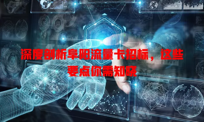 深度剖析阜阳流量卡招标，这些要点你需知晓