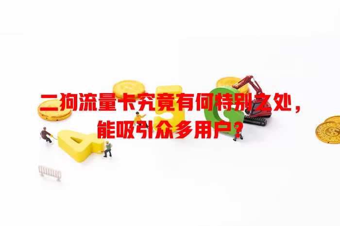 二狗流量卡究竟有何特别之处，能吸引众多用户？