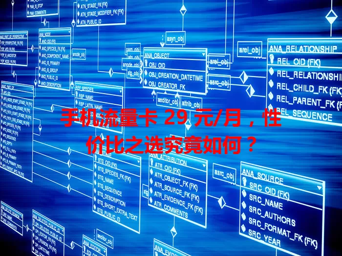 手机流量卡 29 元/月，性价比之选究竟如何？