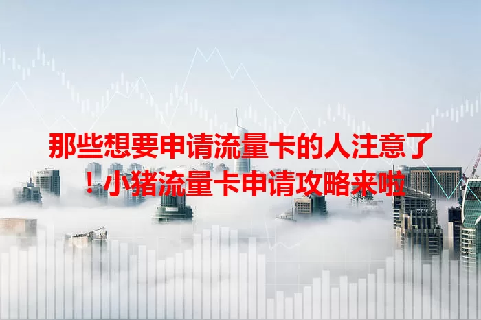 那些想要申请流量卡的人注意了！小猪流量卡申请攻略来啦