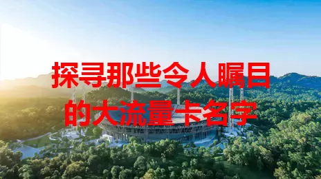 探寻那些令人瞩目的大流量卡名字