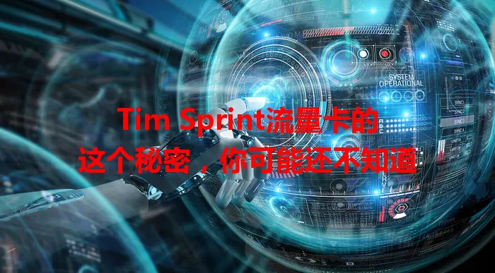 Tim Sprint流量卡的这个秘密，你可能还不知道