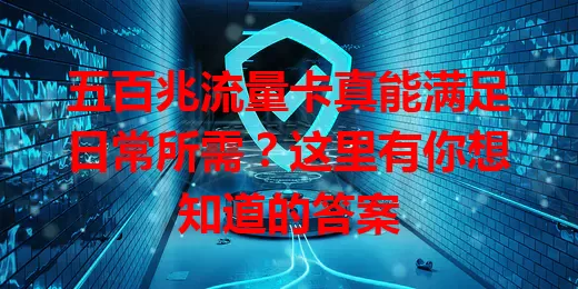 五百兆流量卡真能满足日常所需？这里有你想知道的答案