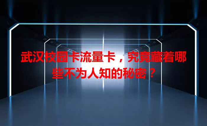 武汉校园卡流量卡，究竟藏着哪些不为人知的秘密？