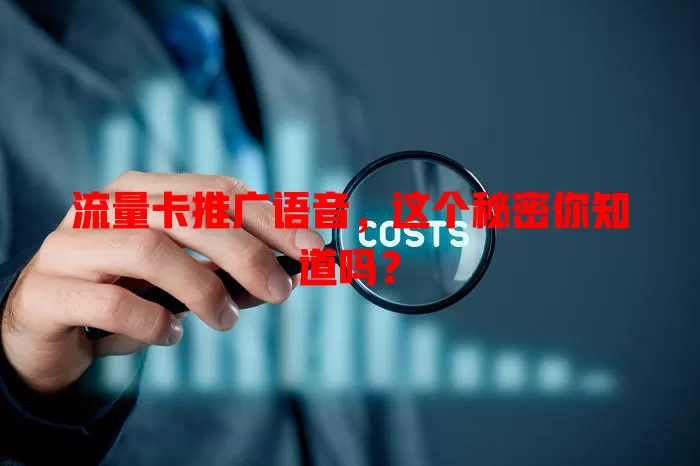 流量卡推广语音，这个秘密你知道吗？