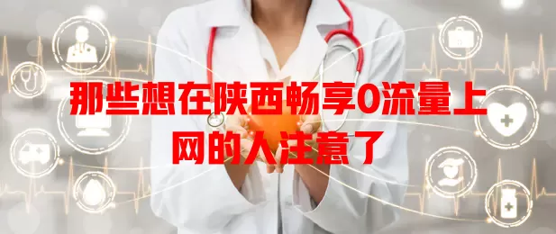 那些想在陕西畅享0流量上网的人注意了