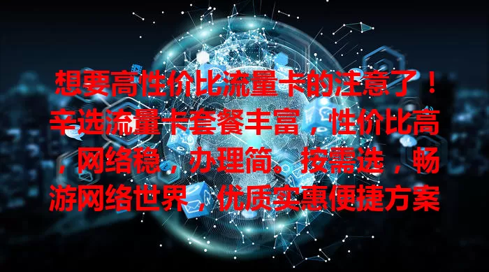 想要高性价比流量卡的注意了！辛选流量卡套餐丰富，性价比高，网络稳，办理简。按需选，畅游网络世界，优质实惠便捷方案等你关注！