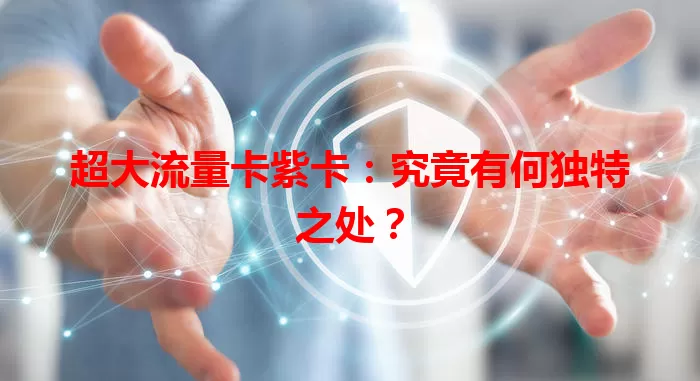 超大流量卡紫卡：究竟有何独特之处？