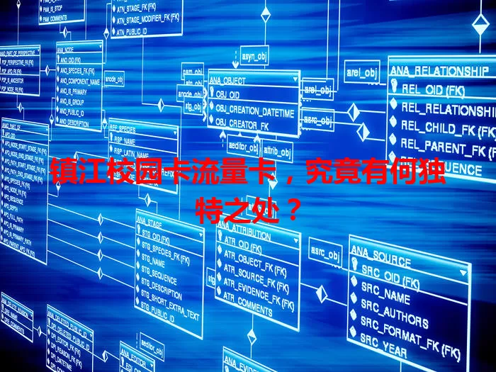 镇江校园卡流量卡，究竟有何独特之处？