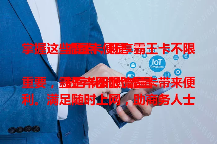 掌握这些要点，畅享霸王卡不限流量卡便捷

数字化时代流量重要，霸王卡不限流量卡带来便利。满足随时上网，助商务人士工作，让游戏玩家畅玩。使用有窍门，合理规划时间、了解条款，正确使用就能畅享无限流量。