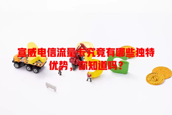 宣威电信流量卡究竟有哪些独特优势，你知道吗？
