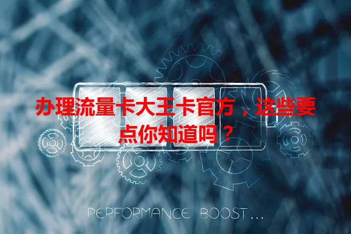 办理流量卡大王卡官方，这些要点你知道吗？