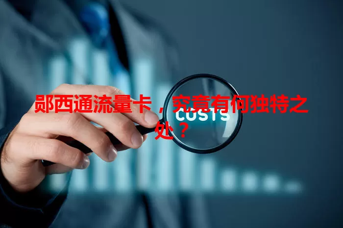 郧西通流量卡，究竟有何独特之处？