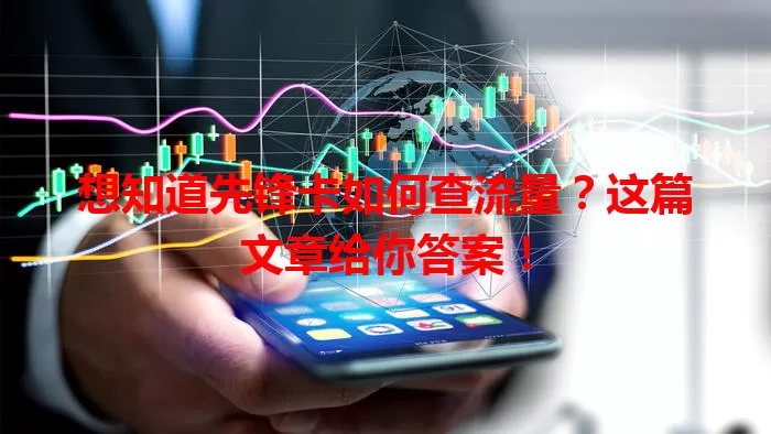 想知道先锋卡如何查流量？这篇文章给你答案！