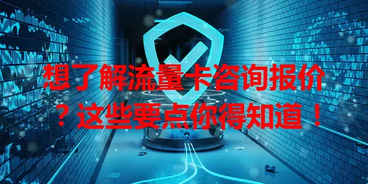 想了解流量卡咨询报价？这些要点你得知道！