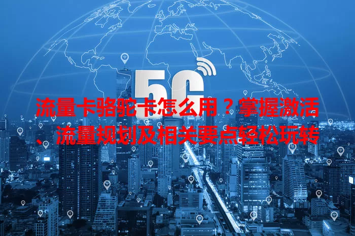 流量卡骆驼卡怎么用？掌握激活、流量规划及相关要点轻松玩转
