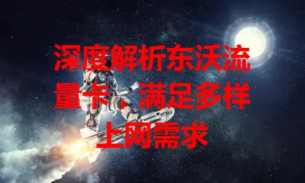 深度解析东沃流量卡，满足多样上网需求