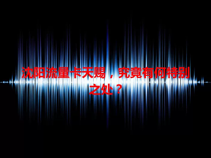 沈阳流量卡天赐，究竟有何特别之处？