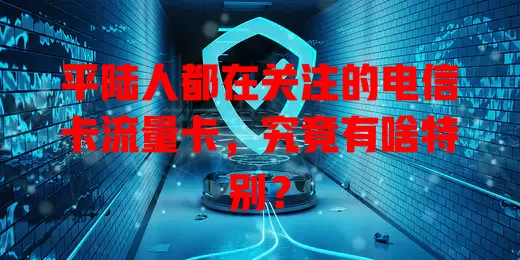 平陆人都在关注的电信卡流量卡，究竟有啥特别？