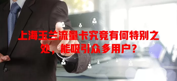 上海玉兰流量卡究竟有何特别之处，能吸引众多用户？
