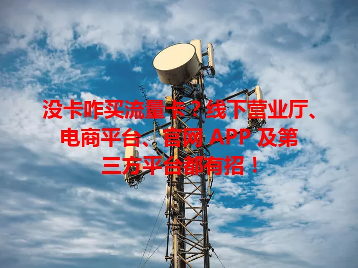 没卡咋买流量卡？线下营业厅、电商平台、官网 APP 及第三方平台都有招！