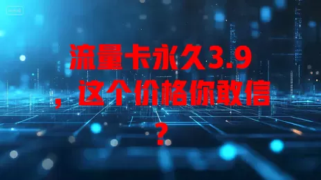 流量卡永久3.9，这个价格你敢信？