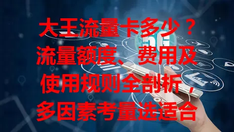 大王流量卡多少？流量额度、费用及使用规则全剖析，多因素考量选适合套餐