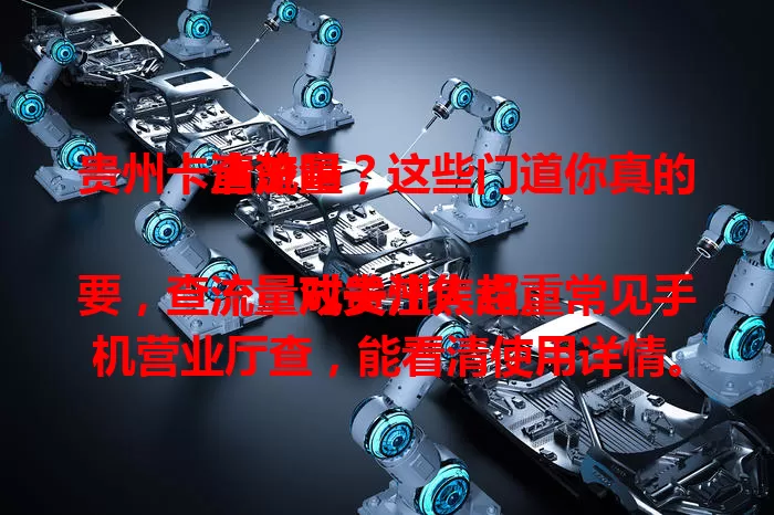 贵州卡查流量，这些门道你真的清楚吗？

流量对贵州人超重要，查流量成关注焦点。常见手机营业厅查，能看清使用详情。流量莫名减少要排查，不同套餐规则不同，掌握方法才能畅快用网，不担心流量问题。