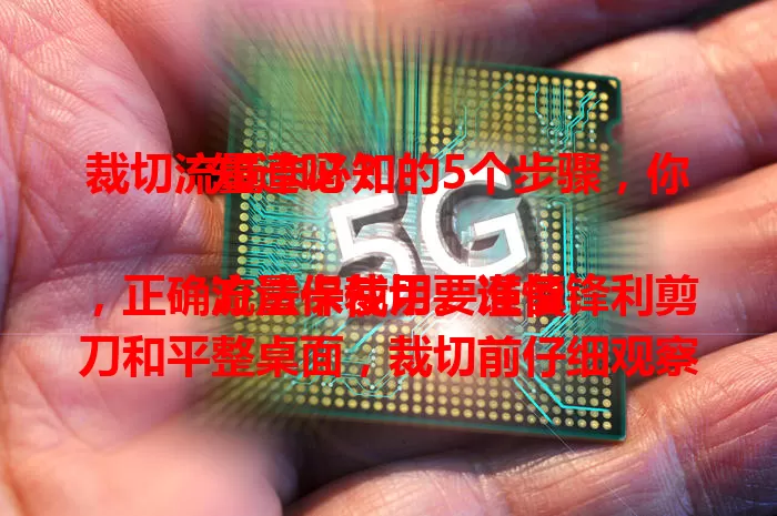 裁切流量卡必知的5个步骤，你知道吗？

流量卡裁切要谨慎，正确方法保使用。准备锋利剪刀和平整桌面，裁切前仔细观察标识，操作时垂直边缘轻缓裁剪，完成后检查并妥善保存，掌握方法享便捷网络。