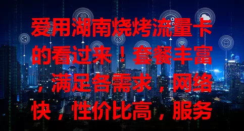 爱用湖南烧烤流量卡的看过来！套餐丰富，满足各需求，网络快，性价比高，服务贴心，流量卡优势满满，还愁流量的快来试试！