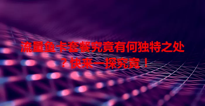 流量鱼卡套餐究竟有何独特之处？快来一探究竟！