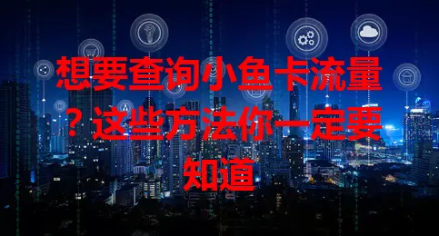 想要查询小鱼卡流量？这些方法你一定要知道