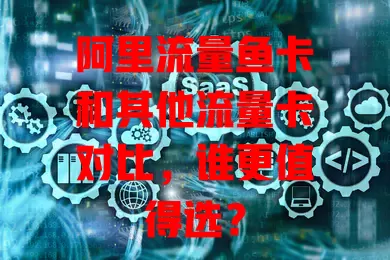 阿里流量鱼卡和其他流量卡对比，谁更值得选？